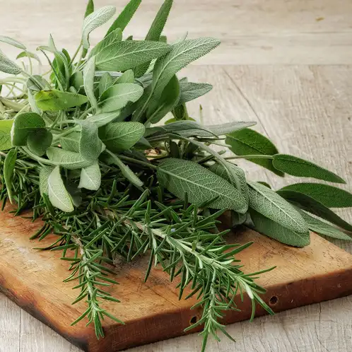 Rosemary Sage Fragrance Oil