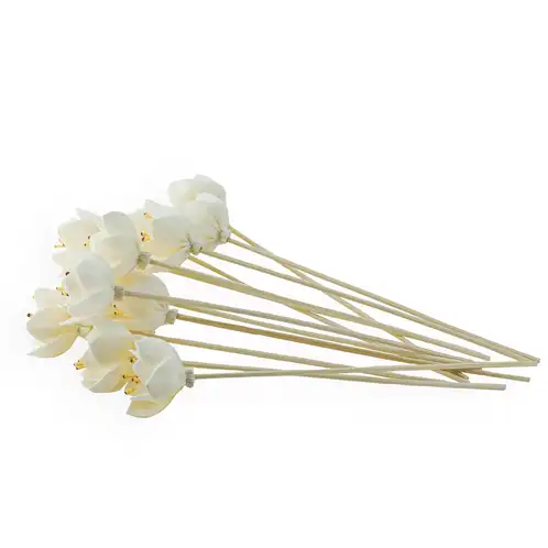 Flower Diffuser Reeds