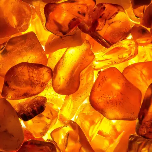 Amber Element Fragrance Oil