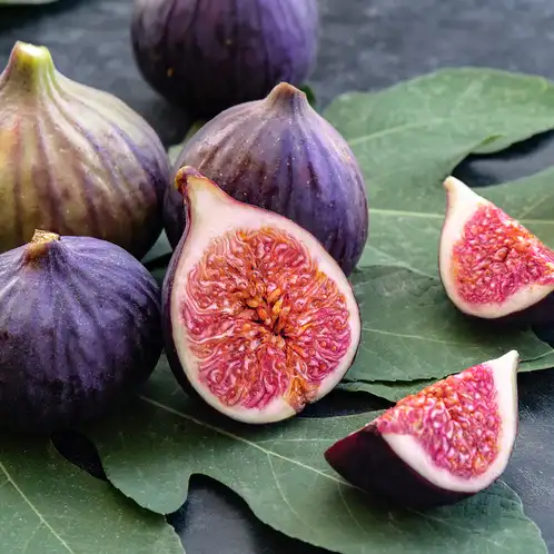 Fig Leaf Element Fragrance Oil