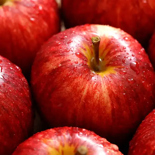 Apple Element Fragrance Oil